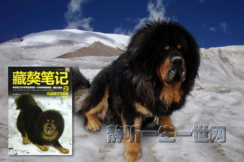 ����ʼ�֮�����Կɿ������������������