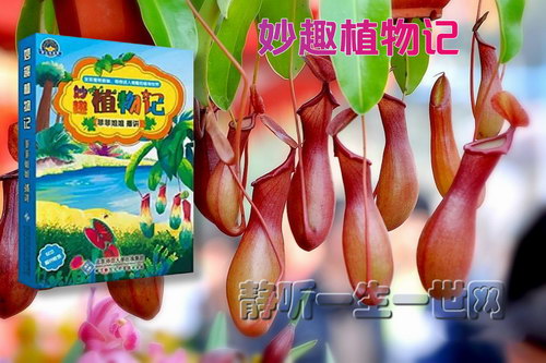 妙趣植物记 妙趣植物记