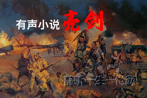 ��������С˵