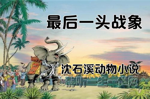 沈石溪动物小说最后一头战象(13集) 沈石溪动物小说最后一头战象(13集)