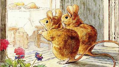 ��������������ͯ����˯ǰ���£�