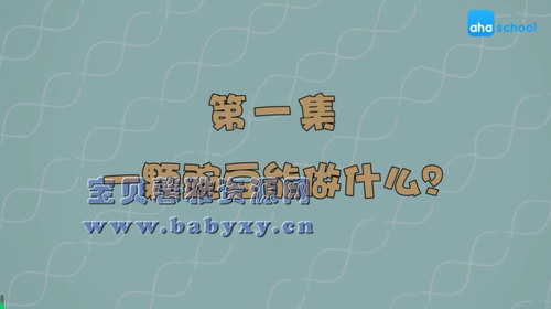 ֥��ѧ���������ܣ���ᣩ��������Ƶ���ٶ����̱���