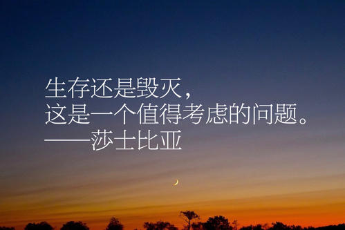 莎士比亚句读(夏鹏)(友邻优课) 莎士比亚句读(夏鹏)(友邻优课)