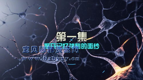 芝麻学社记忆力课(完结)(高清视频)百度网盘保存 芝麻学社记忆力课(完结)(高清视频)百度网盘保存