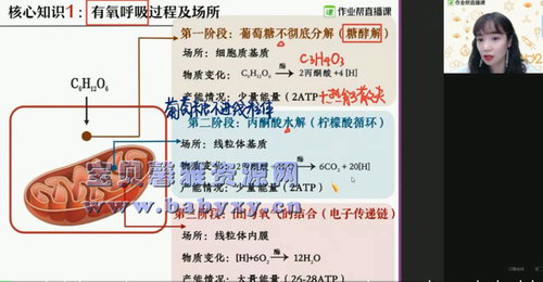 2021作业帮高二寒假段瑞莹生物尖端班(10.3G高清视频)百度网盘保存 2021作业帮高二寒假段瑞莹生物尖端班(10.3G高清视频)百度网盘保存