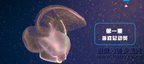 ֥��ѧ���й������Σ���ᣩ��������Ƶ���ٶ����̱���