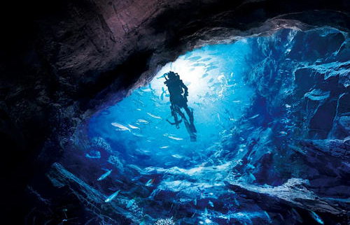 《采珠勿惊龙》紫襟故事(喜马拉雅精品有声书) 《采珠勿惊龙》紫襟故事(喜马拉雅精品有声书)