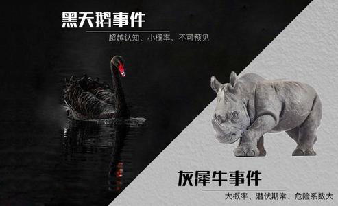 ����죨ϲ�����ž�Ʒ�����飩