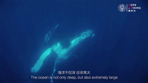 芝麻学社新升力海洋课(完结)(高清视频)百度网盘保存 芝麻学社新升力海洋课(完结)(高清视频)百度网盘保存