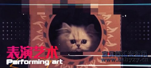 芝麻学社戏剧启蒙—十大艺术家(完结)(高清视频)百度网盘 芝麻学社戏剧启蒙—十大艺术家(完结)(高清视频)百度网盘