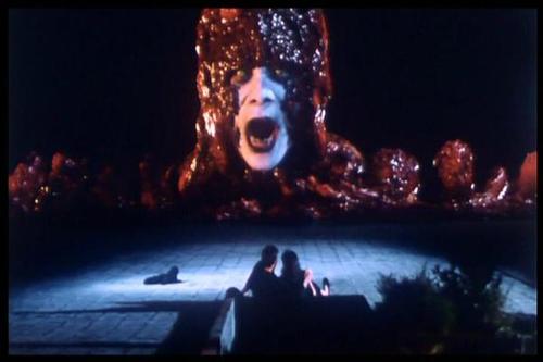 ��˹��֮��è(EBC����)��6�أ�