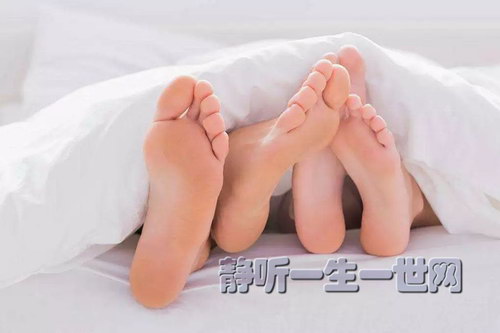 ��֦΢�������ʦѵ���ݽ��װ棨Ů��