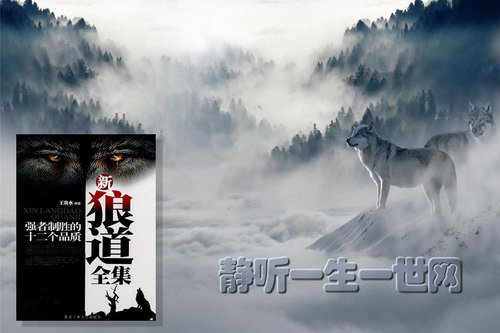 �ǵ�ȫ����ȫ54��������������Į�ޱ��£�