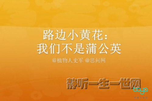 ����Сѧ����·�ߵ�ֲ��ѧ����ᣩ