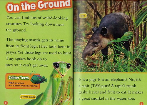 �������ҵ�����ͯ�ٿ����ż�24��PDF��1.49G��mp3����ϰ�ᣩ�ٶ�����