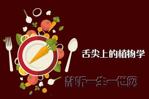 ����Сѧ��ʷ��������ϵ�ֲ��ѧ����ᣩ