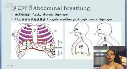 明晓经络瑜伽(5.05G高清视频)百度网盘 明晓经络瑜伽(5.05G高清视频)百度网盘