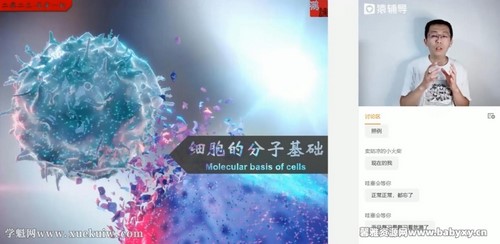 猿辅导2023高考高三生物张鹏暑假班直播课 百度网盘 猿辅导2023高考高三生物张鹏暑假班直播课 百度网盘