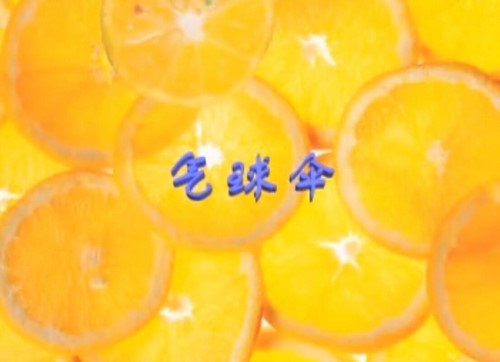 周博士0-6岁早教大全套 百度网盘保存 周博士0-6岁早教大全套 百度网盘保存