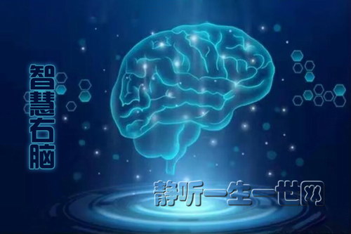 �ǻ�����ȫ����Ƶ