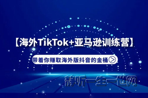 ����TikTok+����ѷʵսѵ��Ӫ����׬������ᣩ