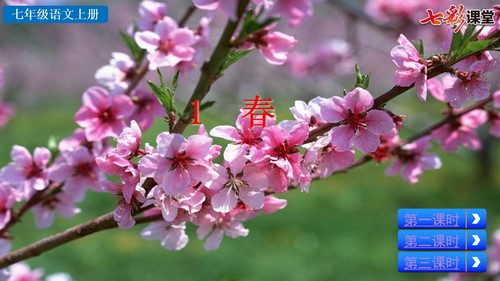 �߲ʿ��ò�����������꼶�ϲ�PPT��ѧ�μ�+̽�����ۿμ�����һ���ٶ����̱���