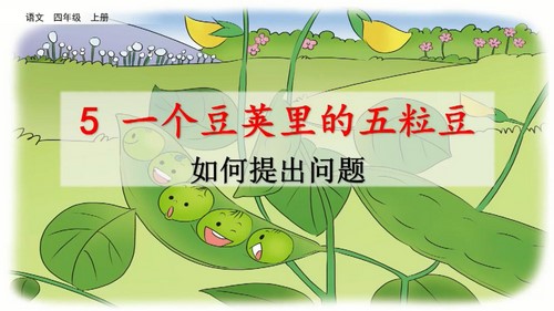 �߲ʿ���ͳ����������꼶�ϲ�΢�Σ���ʦ���ص㡢���ｻ�ʡ�ϰ��΢�Σ��ٶ����̱���