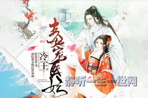 有声穿越小说:冷王毒宠医妃(神隐、思远双播) 有声穿越小说:冷王毒宠医妃(神隐、思远双播)