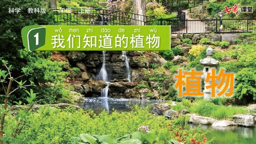 七彩课堂教科版科学一年级上册教学课件 百度网盘保存 七彩课堂教科版科学一年级上册教学课件 百度网盘保存