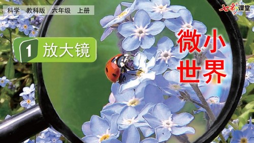 七彩课堂教科版科学六年级上册教学课件 百度网盘保存 七彩课堂教科版科学六年级上册教学课件 百度网盘保存