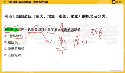 2022考虫考研西医强化阶模经典真题精讲 百度网盘 2022考虫考研西医强化阶模经典真题精讲 百度网盘