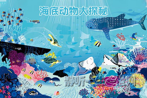 ���׶����̽�أ�ȫ����