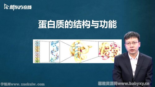 新东方2022考研西医临综基础生物化学新版 百度网盘保存 新东方2022考研西医临综基础生物化学新版 百度网盘保存