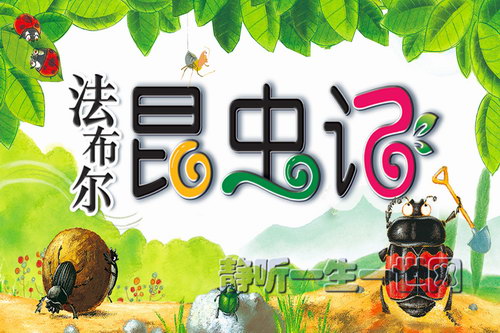 ����Ƿ���������Ǿ���������һ������ᣩ��ϲ�����ţ�