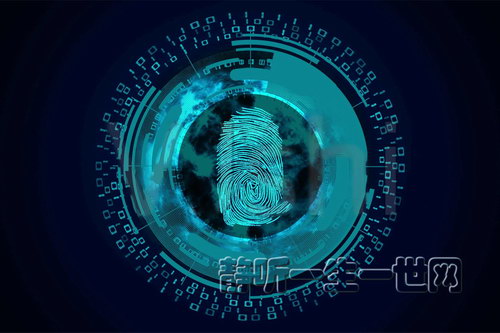 ָ�ƣ�ȫ52������������������