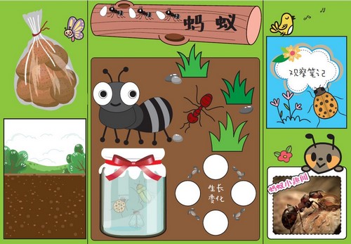 i����2019��ϼ� �ٶ����̱���