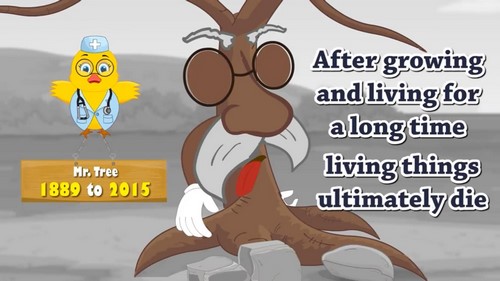 i陪娃学科英语合集(完结)百度网盘 i陪娃学科英语合集(完结)百度网盘