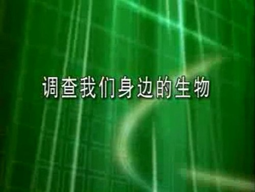 ��������ʵ����Ƶ �ٶ����̱���