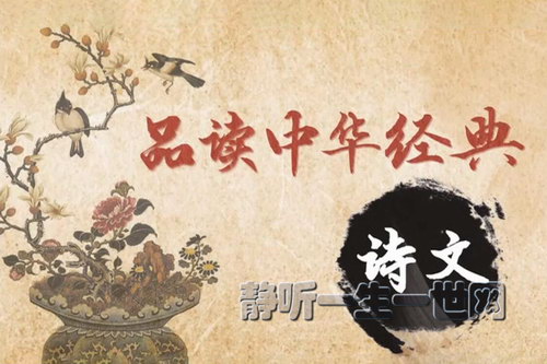 2022百家讲坛品读中华经典诗文 2022百家讲坛品读中华经典诗文