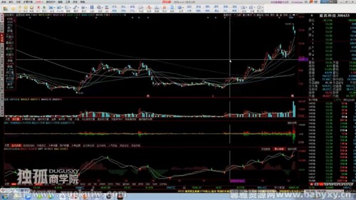 ��ƱT+0���ڽ���ʵս�ζ��ڣ���ᣩ�ٶ�����