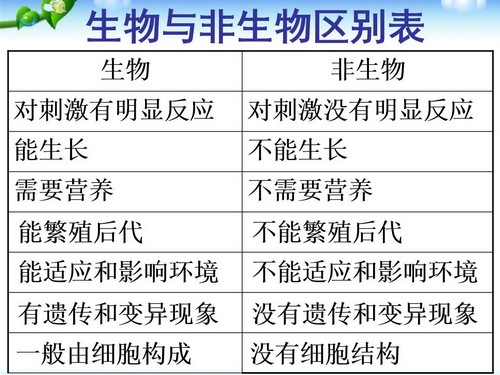 �п����︴ϰPPT�μ� �ٶ����̱���