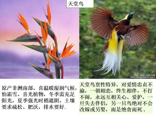 初中生物八年级上册优质课件+教案+试题打包 百度网盘保存 初中生物八年级上册优质课件+教案+试题打包 百度网盘保存