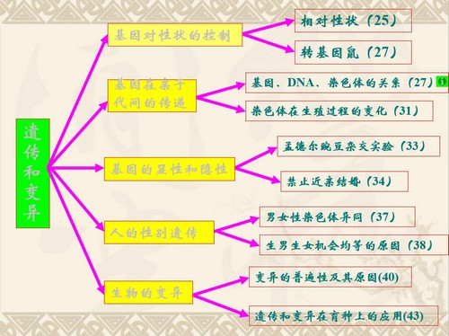 ����������꼶�²����ʿμ�+�̰�+������ �ٶ����̱���