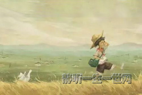 ����ѧ���������ݷ���