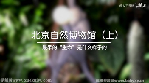 领略环球博物馆中的自然科学 百度网盘保存 领略环球博物馆中的自然科学 百度网盘保存