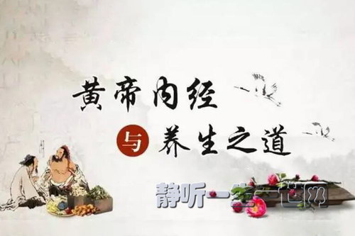 �������Ƶ��ھ��������