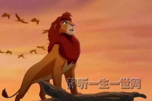 ��ʿ�ṫ�����¼�ʨ����ȫ������ᣩ��ϲ�����ţ�