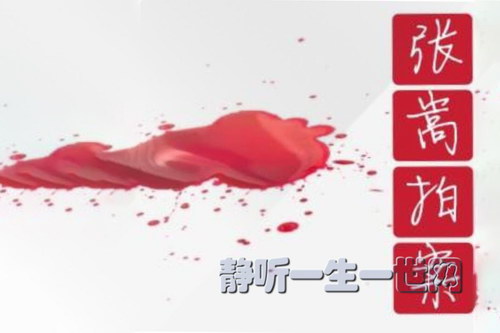 张嵩讲故事:大案要案侦破纪实_张嵩拍案(喜马拉雅) 张嵩讲故事:大案要案侦破纪实_张嵩拍案(喜马拉雅)