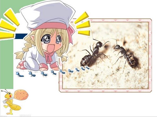 一年级语文作文看图写话ppt课件 百度网盘保存 一年级语文作文看图写话ppt课件 百度网盘保存