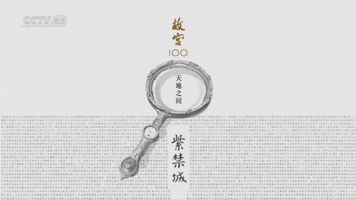 CCTV�ʹ�100�� �ٶ����̱���